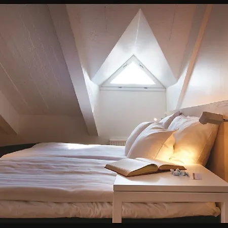 坦佩雷别墅原作所库斯酒店